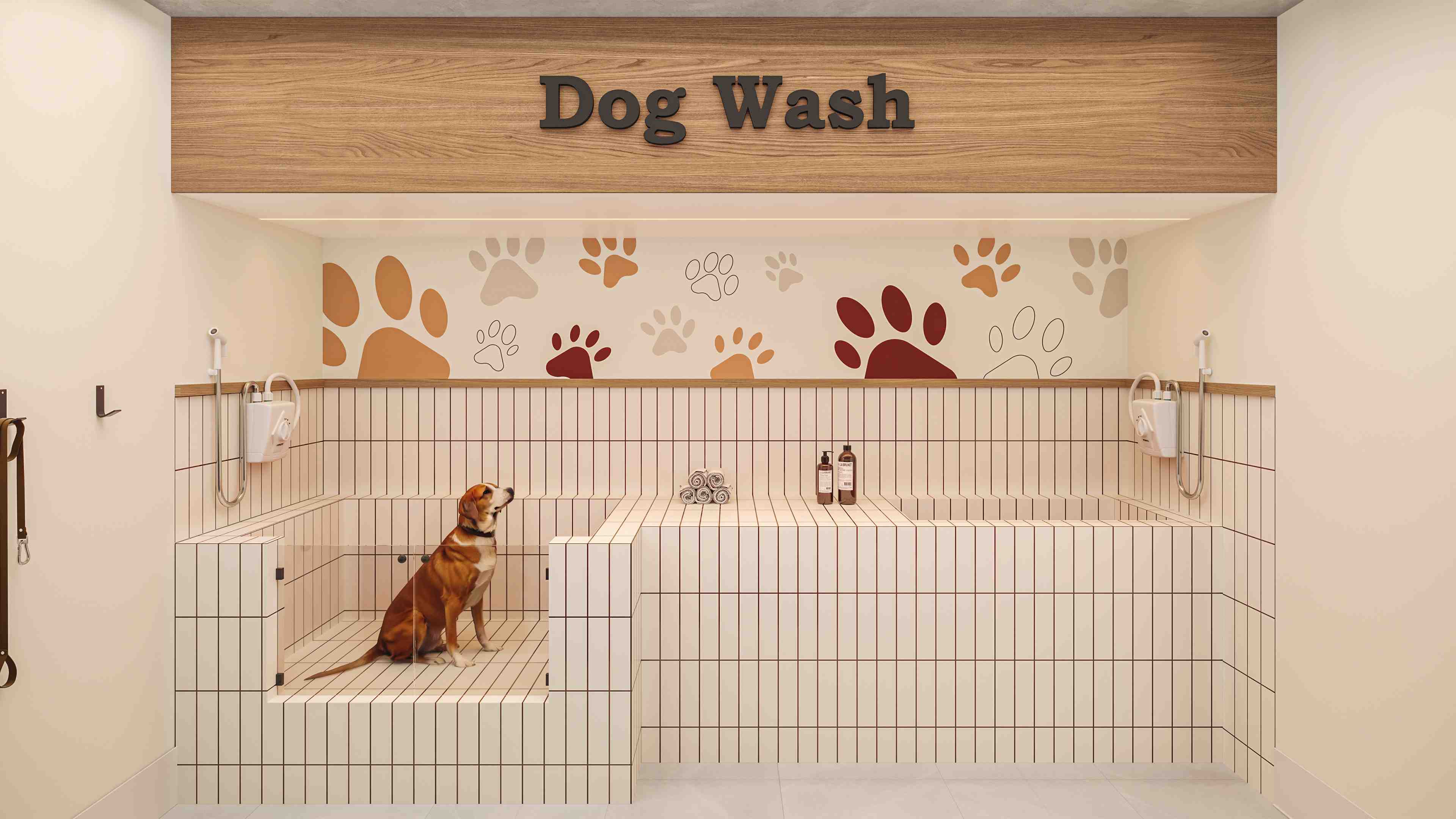 Dog wash - espaço para pets